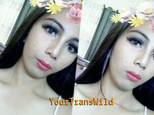 YourTransWild