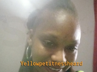 Yellowpetitnessheard