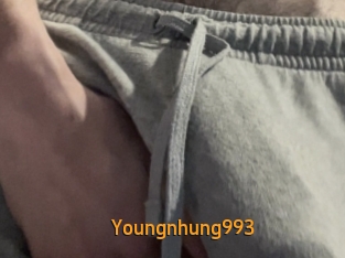youngnhung993 Sexcam Portal