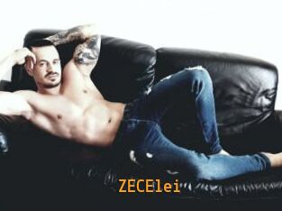 ZECElei