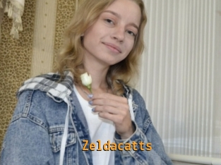 Zeldacatts