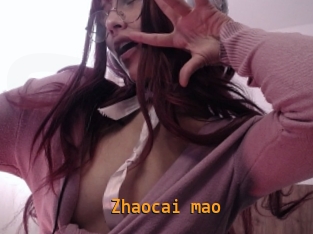 Zhaocai_mao
